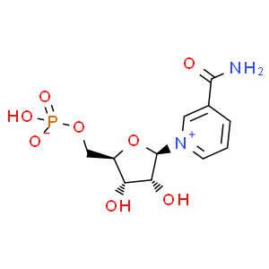 β-煙酰胺單核苷酸；NMN；