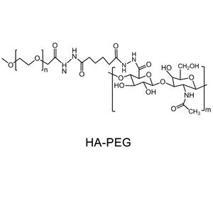 透明質(zhì)酸聚乙二醇HA-PEG