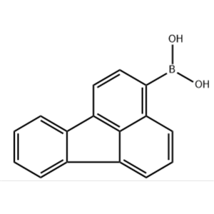 熒蒽-3-硼酸