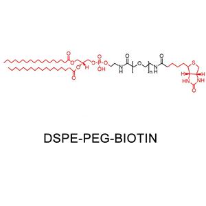 二硬脂?；字Ｒ掖及?聚乙二醇-生物素