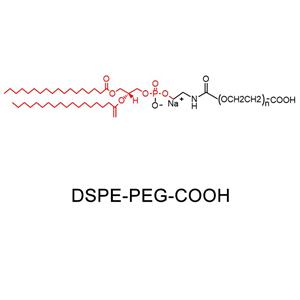 二硬脂酰磷脂酰乙醇胺-聚乙二醇-羧基