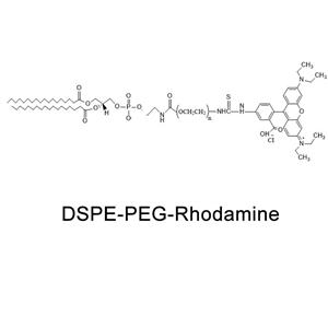 二硬脂酰基磷脂酰乙醇胺-聚乙二醇-羅丹明