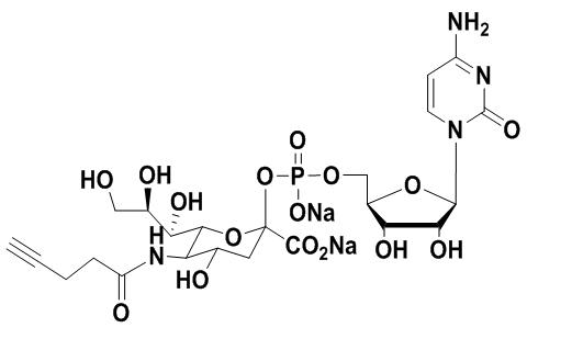 CMP-C9-Azido-Sialic Acid，5'-單磷酸胞苷修飾疊氮糖