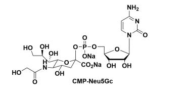 CMP-C9-Azido-Sialic Acid，5'-單磷酸胞苷修飾疊氮糖