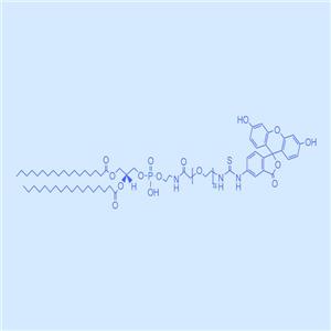 DSPE-PEG-FITC 二硬脂?；字掖及?聚乙二醇 熒光素