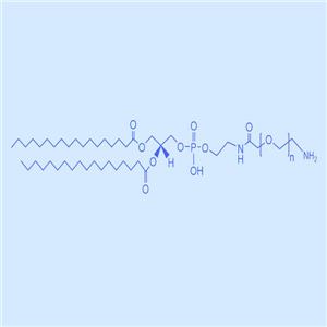 二硬脂?；字掖及?聚乙二醇 氨基