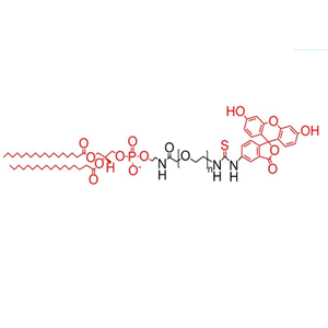 二硬脂?；字Ｒ掖及?聚乙二醇-熒光素