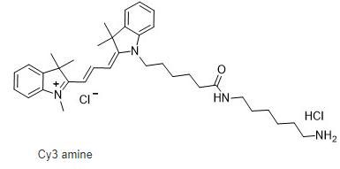 Cyanine3-amine,Cyanine3-NH2,Cyanine3-氨基