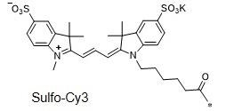 水溶性CY3  Sulfo-Cyanine3，磺化Cy3，sulfo-Cy3