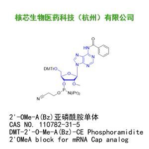 2'-OMe-A(Bz)亞磷酰胺單體