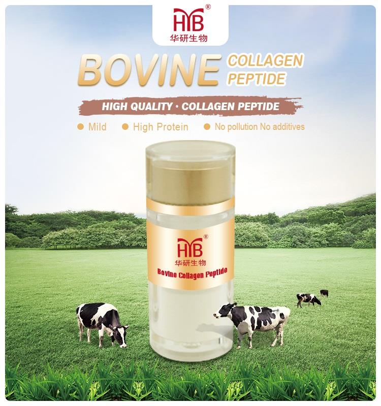 Bovine peptide 6.jpg