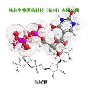 假尿苷三磷酸