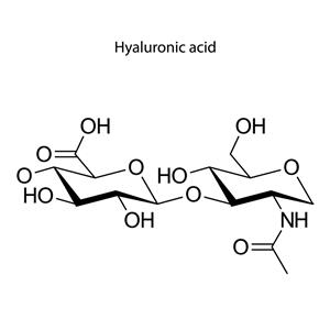 糖類水解物