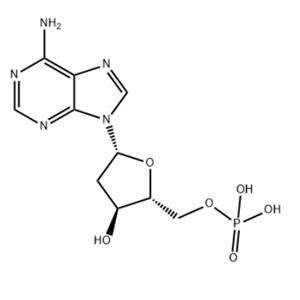 2'-脫氧腺苷-5'-單磷酸