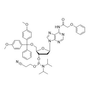 DMT-dA(PAc) 亞磷酰胺單體