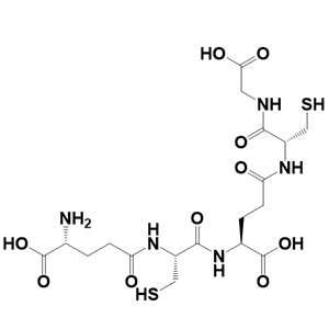 Phytochelatin 2重金屬結合肽