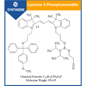 CY3-亞磷酰胺