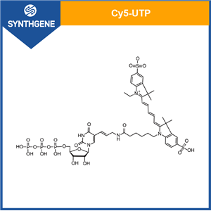 Cy5-UTP