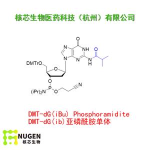 DMT-dG(ib)亞磷酰胺單體  工廠大貨