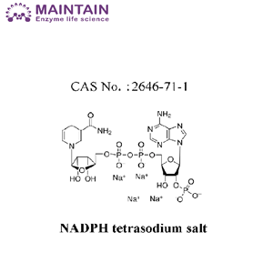 β-煙酰胺腺嘌呤二核苷酸還原四鈉鹽水合物