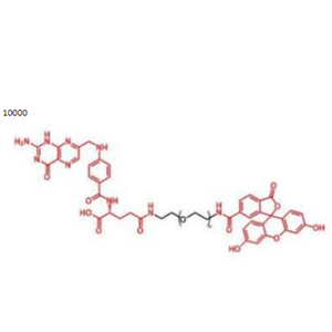 葉酸PEG熒光素，熒光素聚乙二醇葉酸