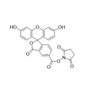 5-羧基熒光素琥珀酰亞胺酯