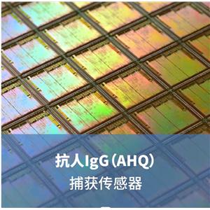 抗人IgG（AHQ）捕獲傳感器