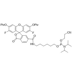 FAM-xtra 亞磷酰胺（FAM-xtra Phosphoramidite）