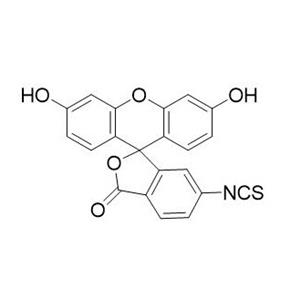 6-異硫氰酸熒光素酯   18861-78-4