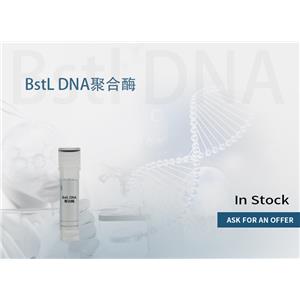 BstL DNA 聚合酶