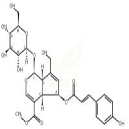 (E)-6-O-對香豆酰雞屎藤次苷甲酯