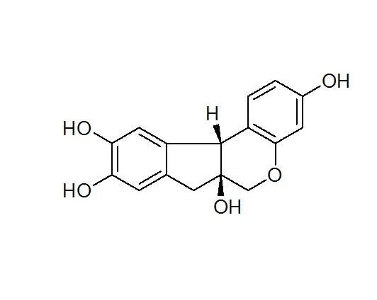 蘇木素