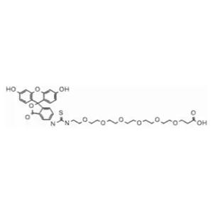 Fluorescein-PEG6-COOH，2055014-69-0，熒光素-六聚乙二醇-羧基