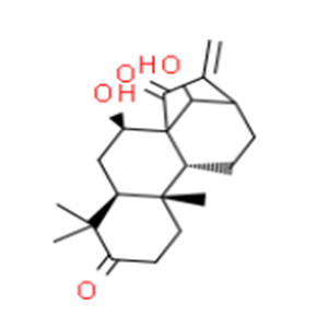 藍(lán)萼甲素，克級，98%