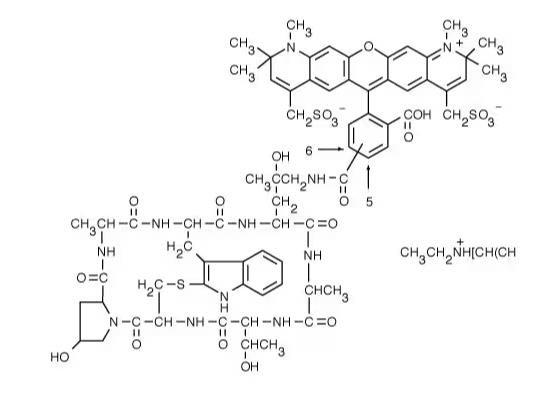 AF594 Phalloidin.png