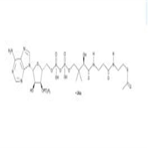 Acetyl Coenzyme A (sodium salt).jpg