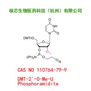 DMT-2'-O-Me-U Phosphoramidite  工廠大貨