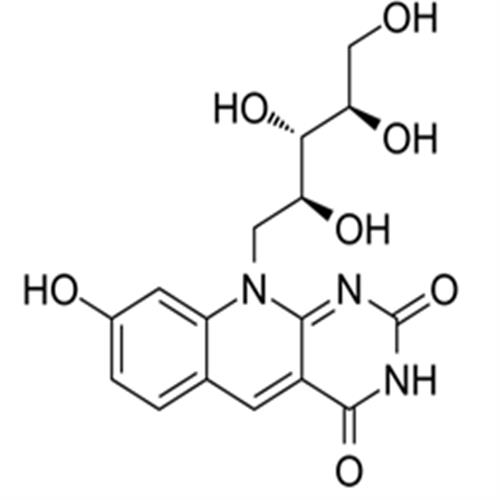 enzyme FO.png