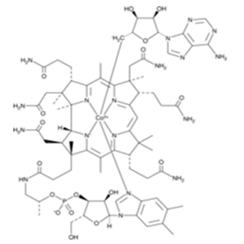 enzyme B12.png