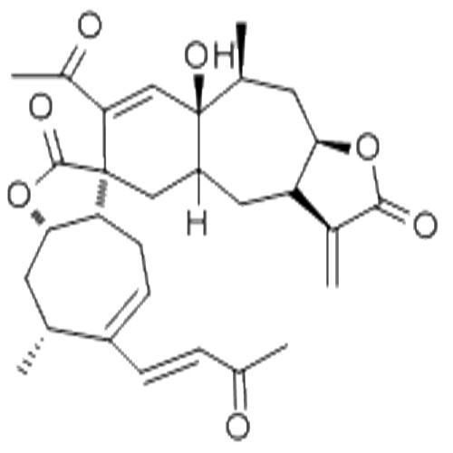 辛辣內(nèi)酯A.jpg