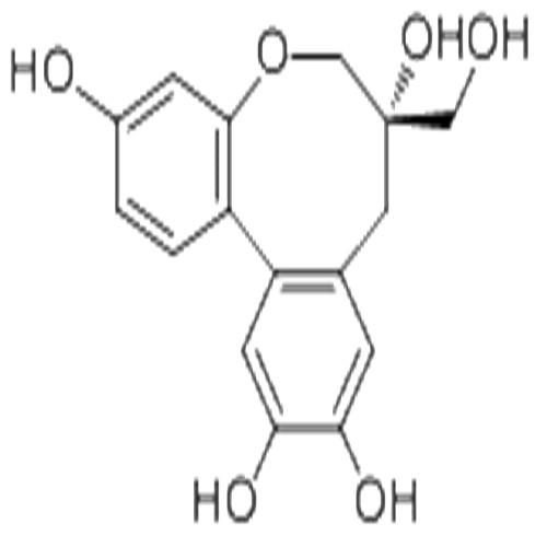 原蘇木素B.jpg