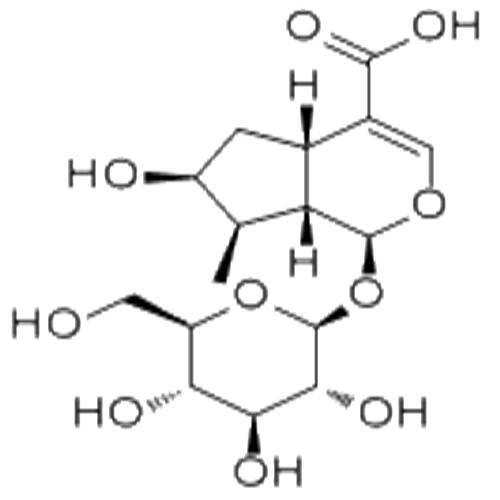 馬錢苷酸.jpg