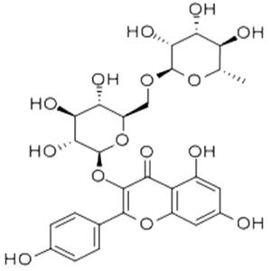 山柰酚-3-O-蕓香糖苷