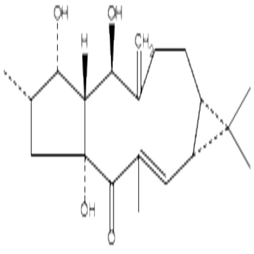 千金子二萜醇