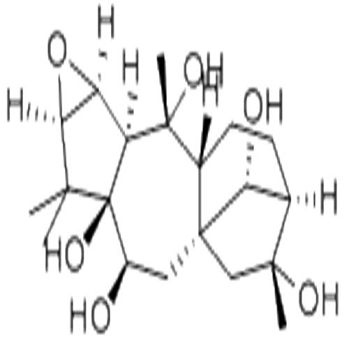 鬧羊花毒素III.jpg