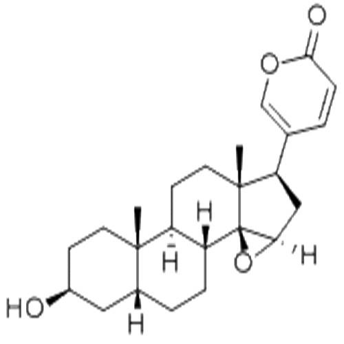 酯蟾毒配基.jpg