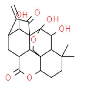 毛栲利素，98%