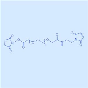 琥珀酰亞胺酯-聚乙二醇-馬來(lái)酰亞胺