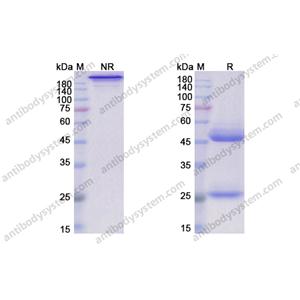 樂德木單抗（Lerdelimumab，285985-06-0）現(xiàn)貨供應(yīng)