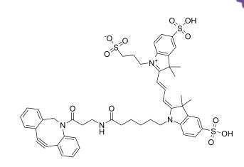 DBCO-CY3